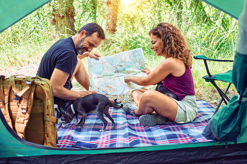 A couple with their dog inspecting a map