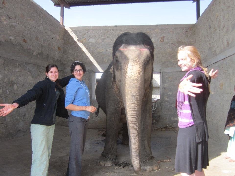 Vol w India Three women pose smiling with an elephant.