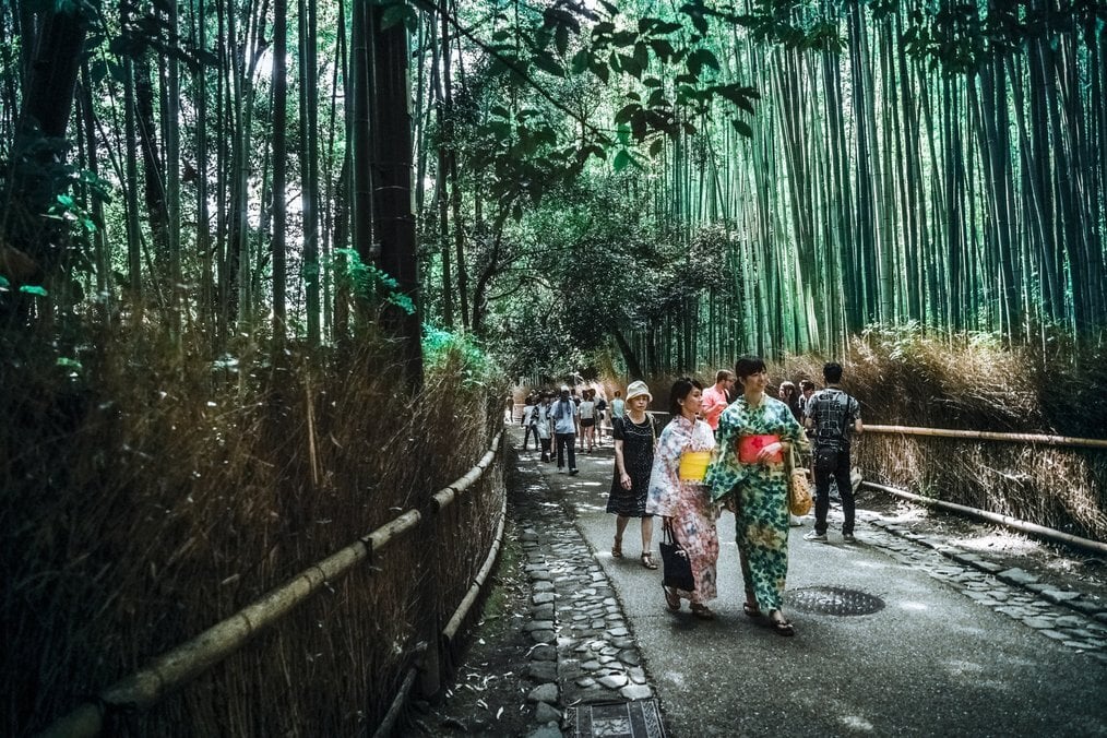 ITTT People walk through a bamboo forest.
