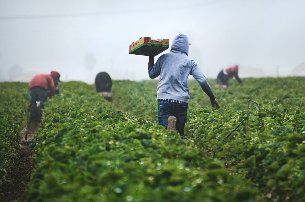 Photo via Unsplash A group of farmers working on a harvest
