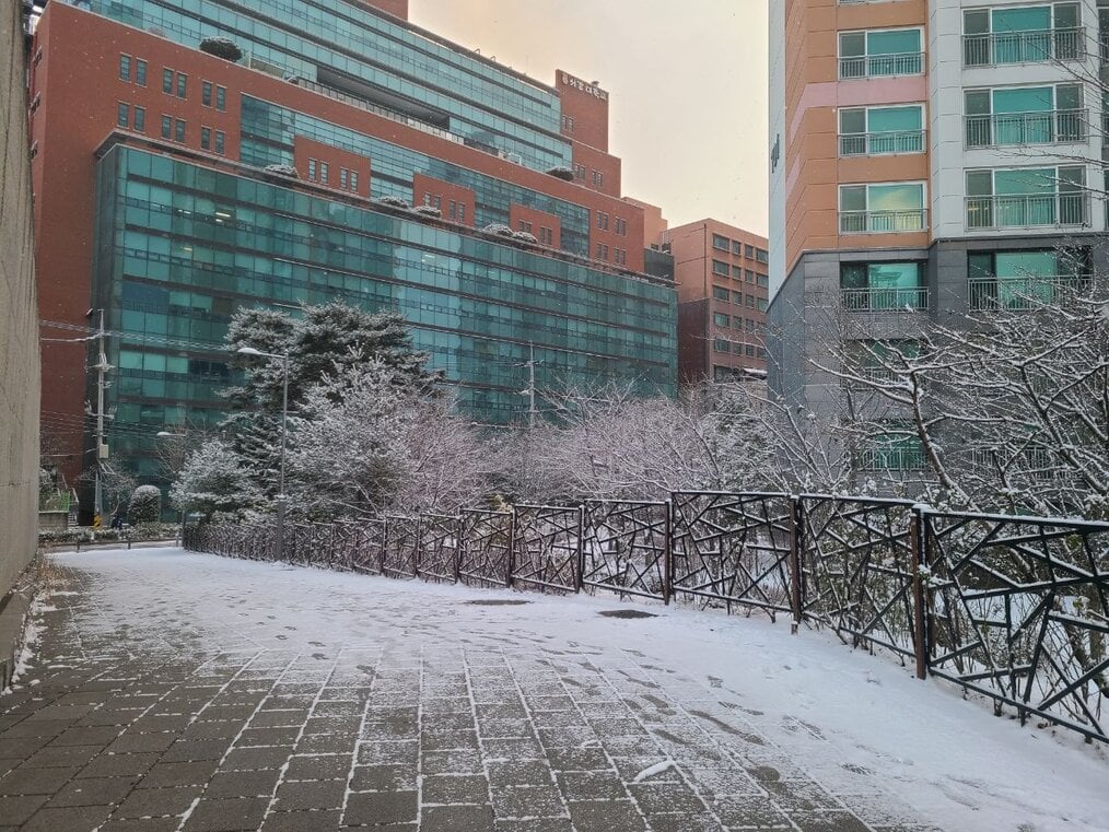 Photo by 알로스 via Wikimedia Creative Commons Light snow covers the pavement at Sogang University in Korea.