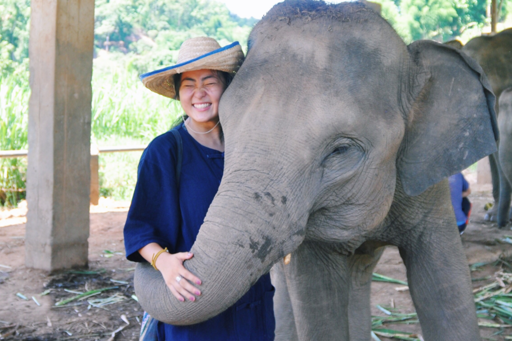 Volunteer smiling next to elephant