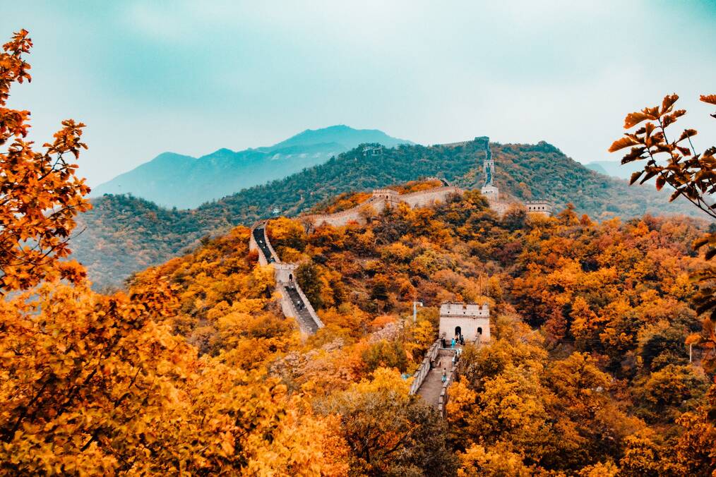The Great Wall of China snakes through a forest with mountains in the background.