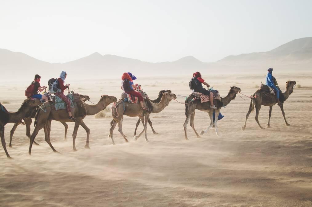 People ride camels through the desert.