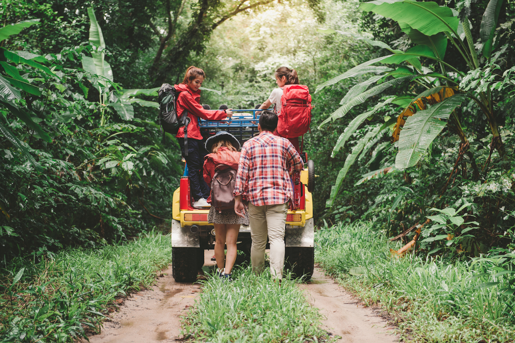 A group of friends navigating the jungle 