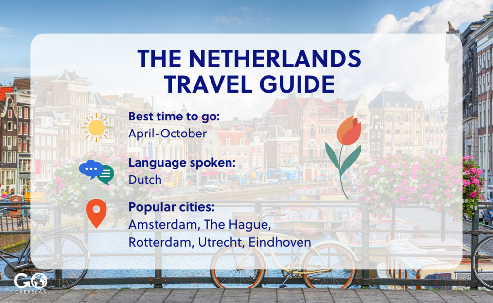 Graphic displaying best time to visit The Netherlands