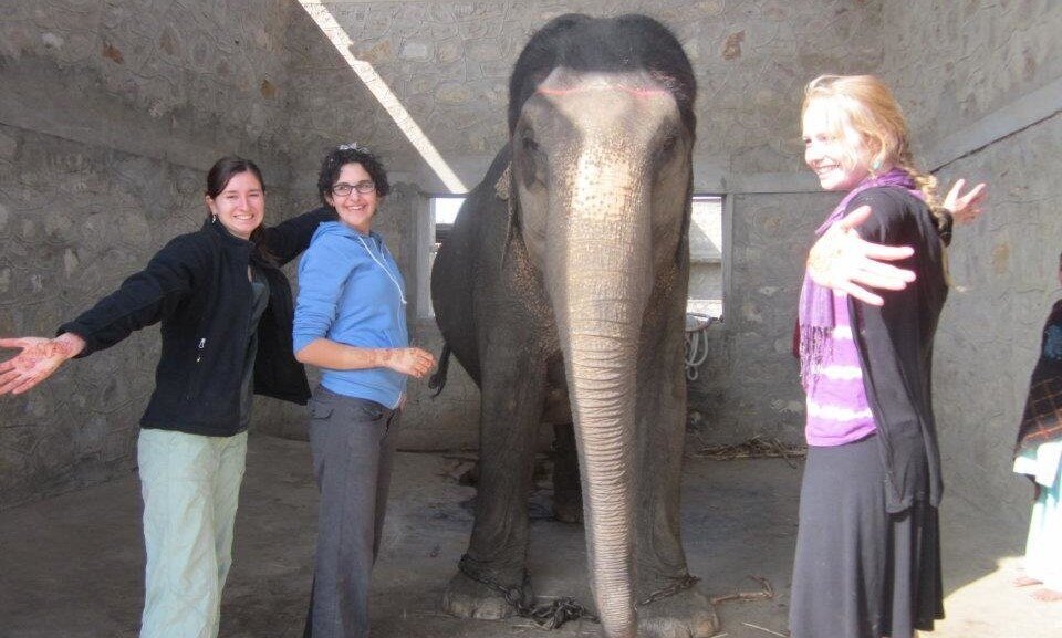Vol w India Three women pose smiling with an elephant.