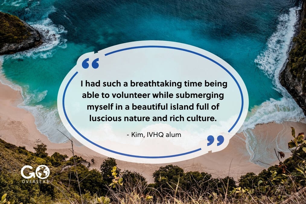 IVHQ review