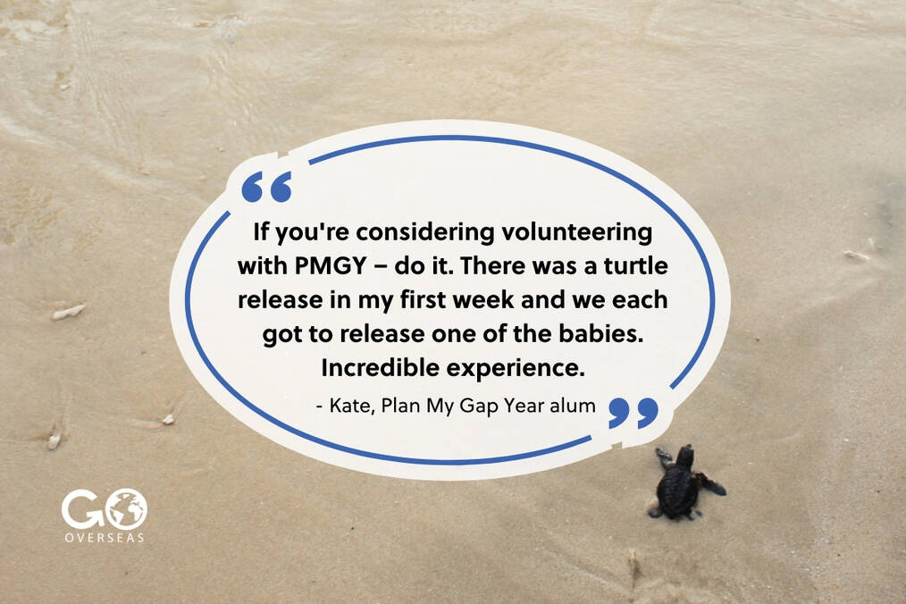 Plan My Gap Year program review