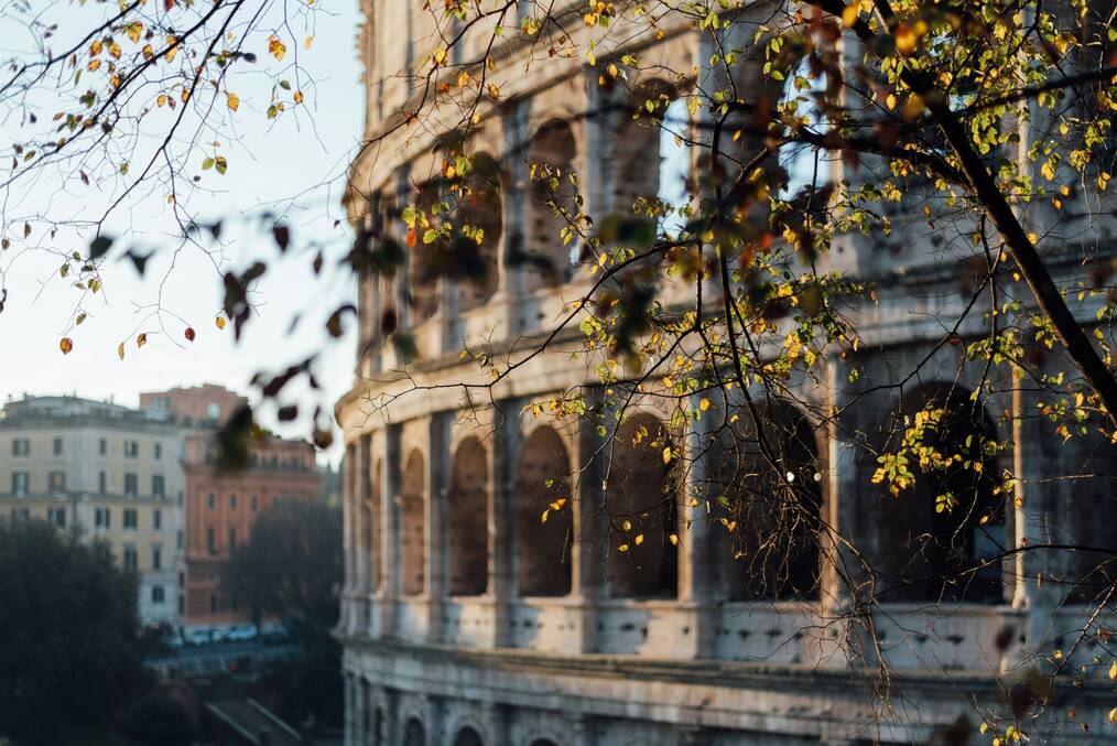 The Roman Colosseum behind a branch 