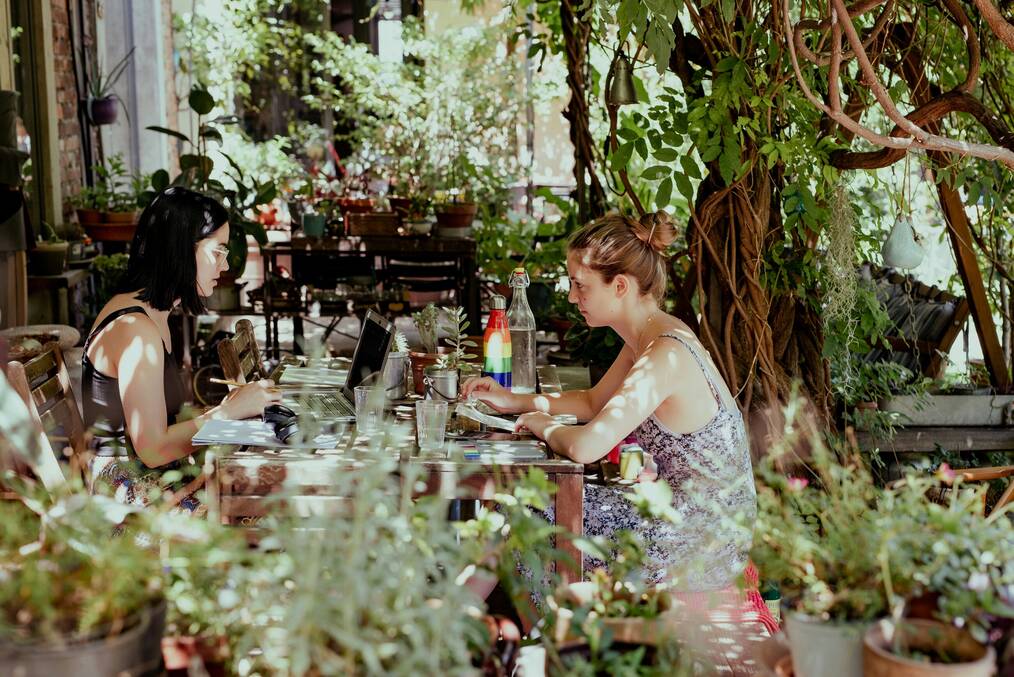 Two women sit at a cafe on their laptop surrounded by plants.