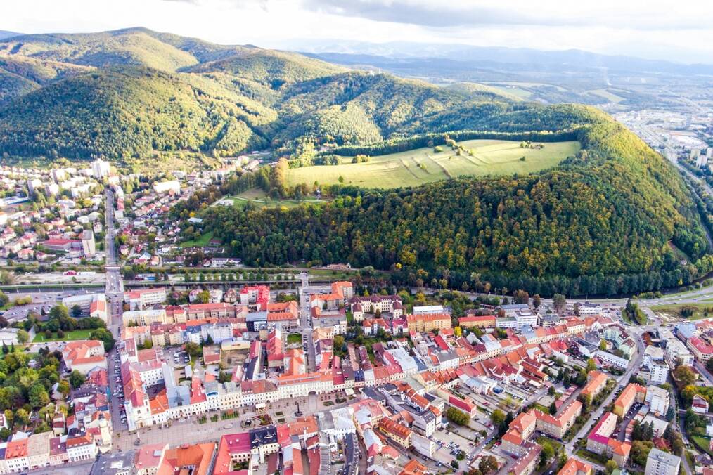 Aerial view of Freiburg town and green spaces