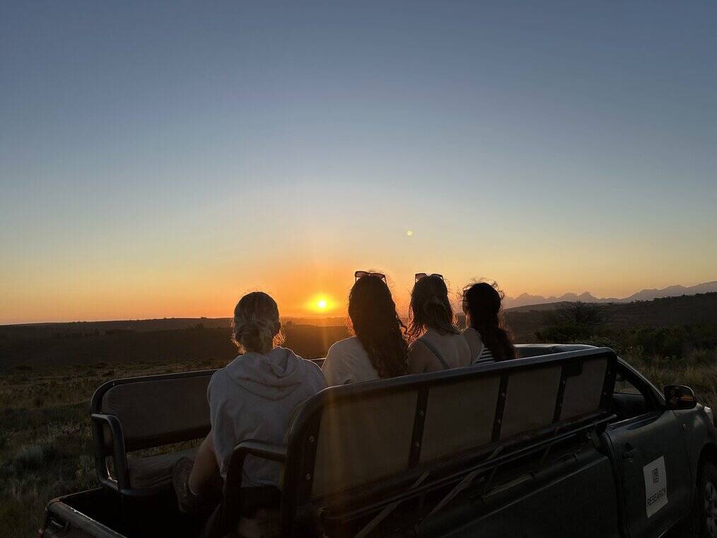 Four people sit in a jeep and watch a sunset in South Africa.