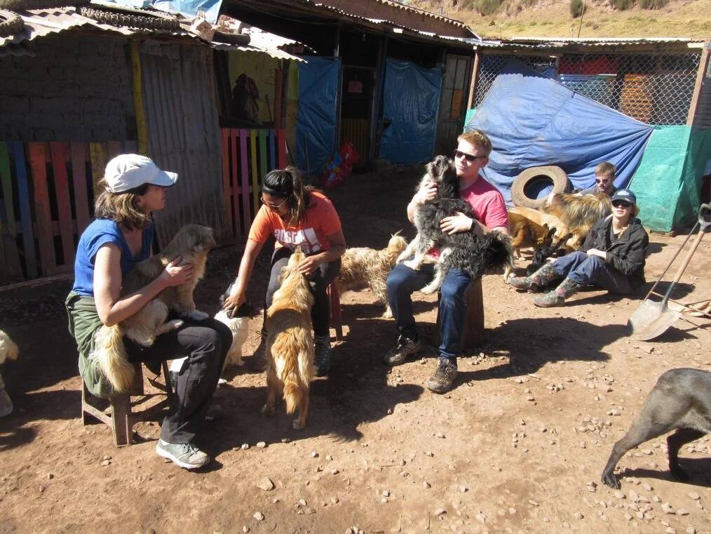 People volunteer with dogs.