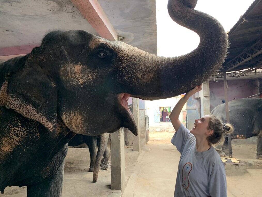 A woman smiles and touches the raised trunk of an elephant.