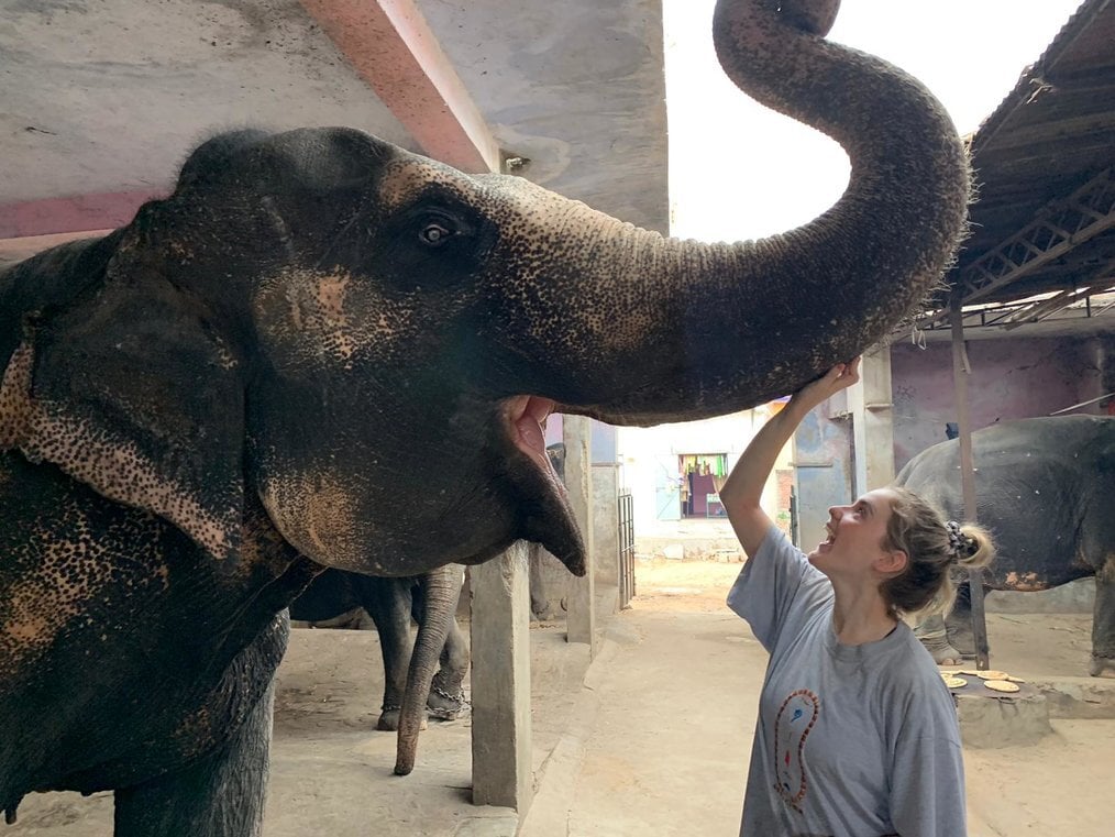 VolInd A woman smiles and touches the raised trunk of an elephant.