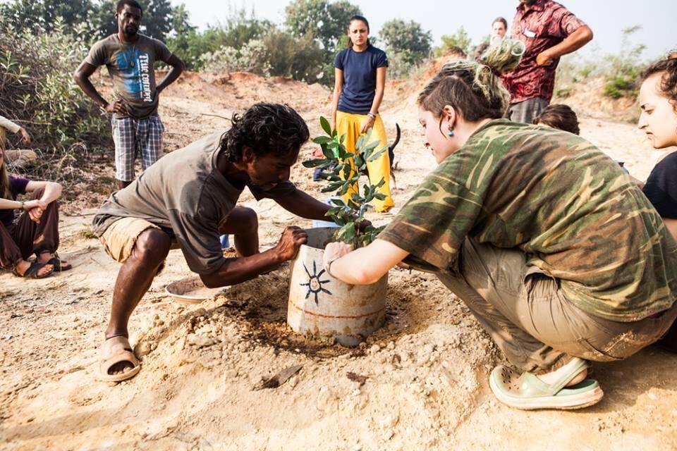 Two people plant a tree together.
