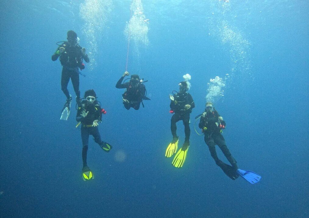 GVI Five people in scuba gear pose for a photo under water.
