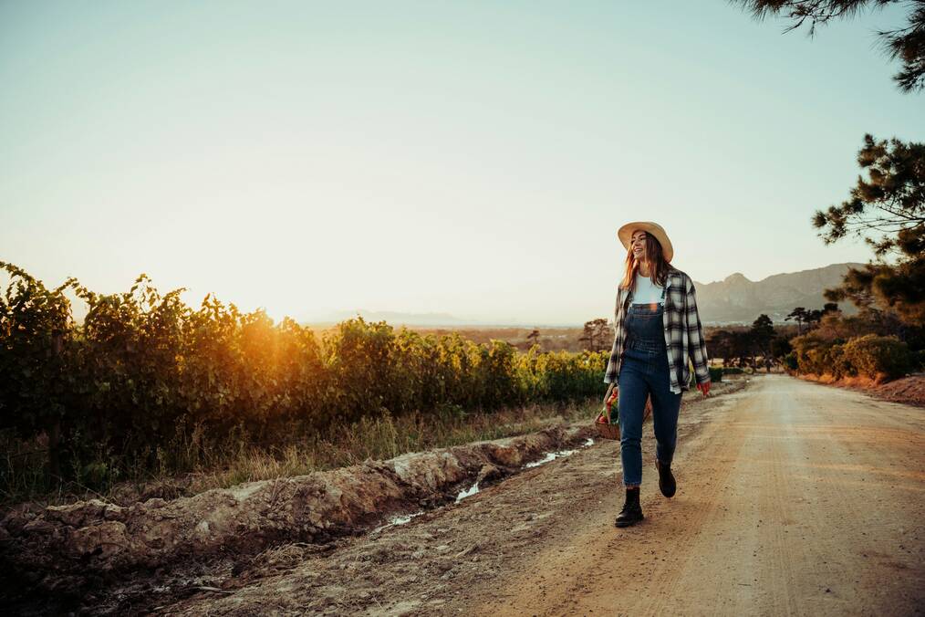 A woman holding a basket of vegetables walks down a dirt road beside a field.