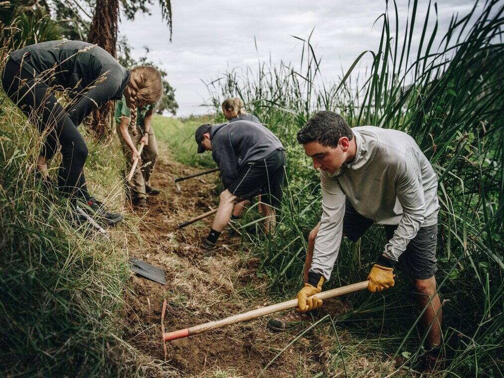 A group uses tools to weed hillside.