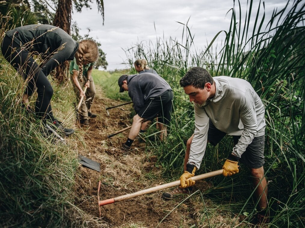 NZ A group uses tools to weed hillside.