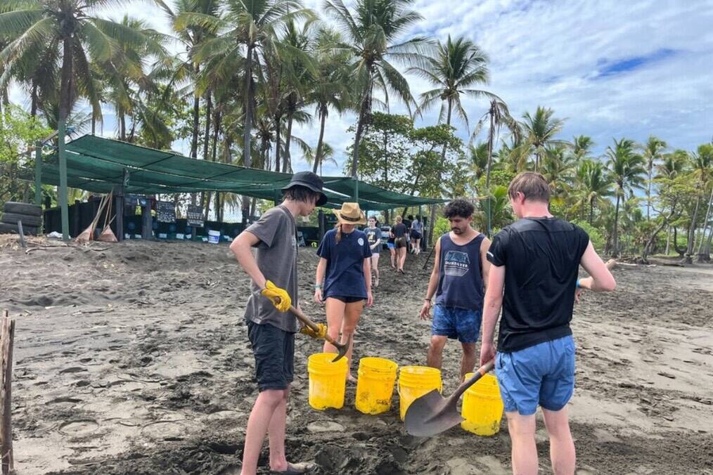 People digging on a beach