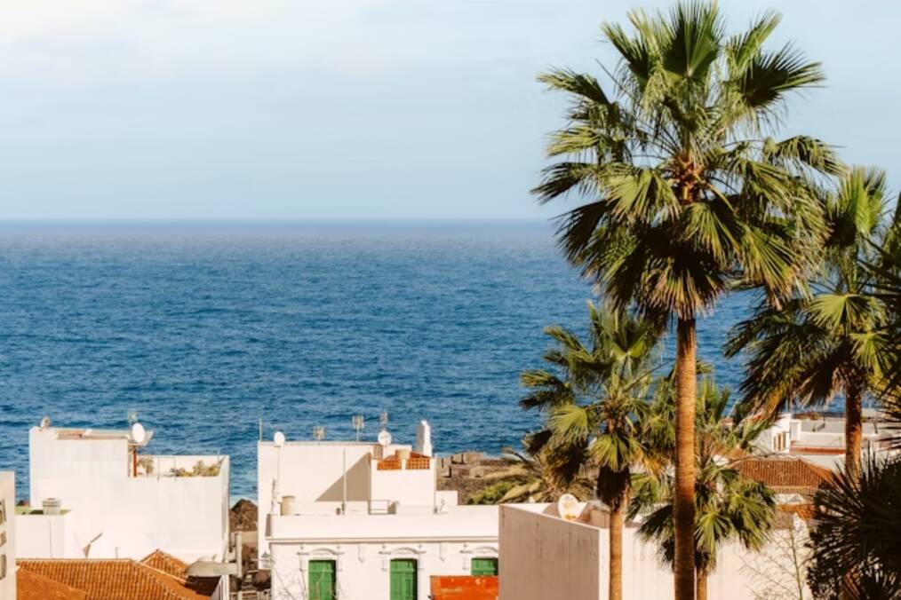 Palm trees and houses next to the ocean