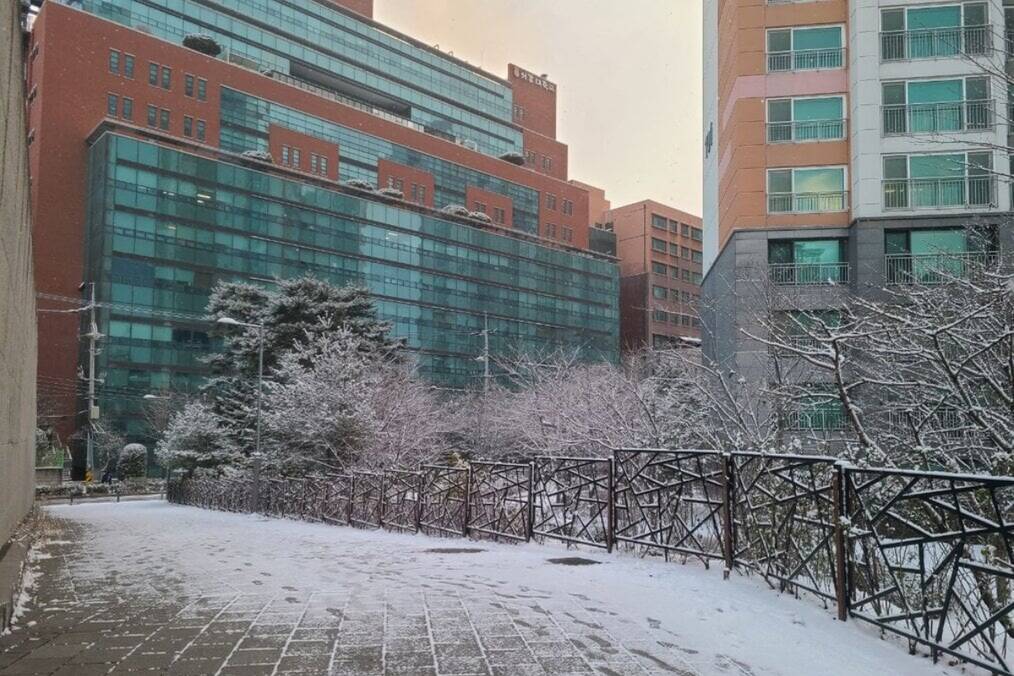 Sogang University in Snow