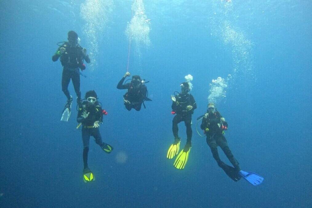 A group of divers underwater