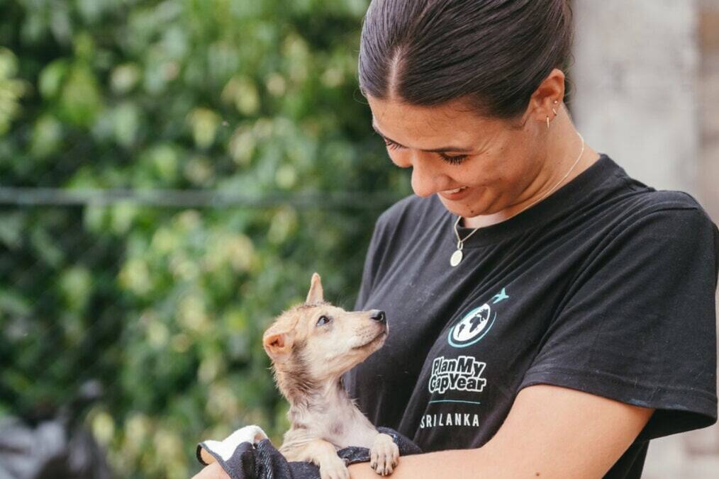 A volunteer holding a malnourished dog 