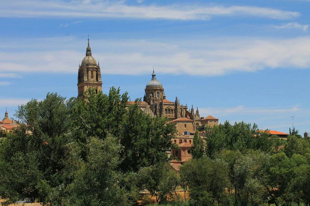 A large building surrounded by trees on a sunny day