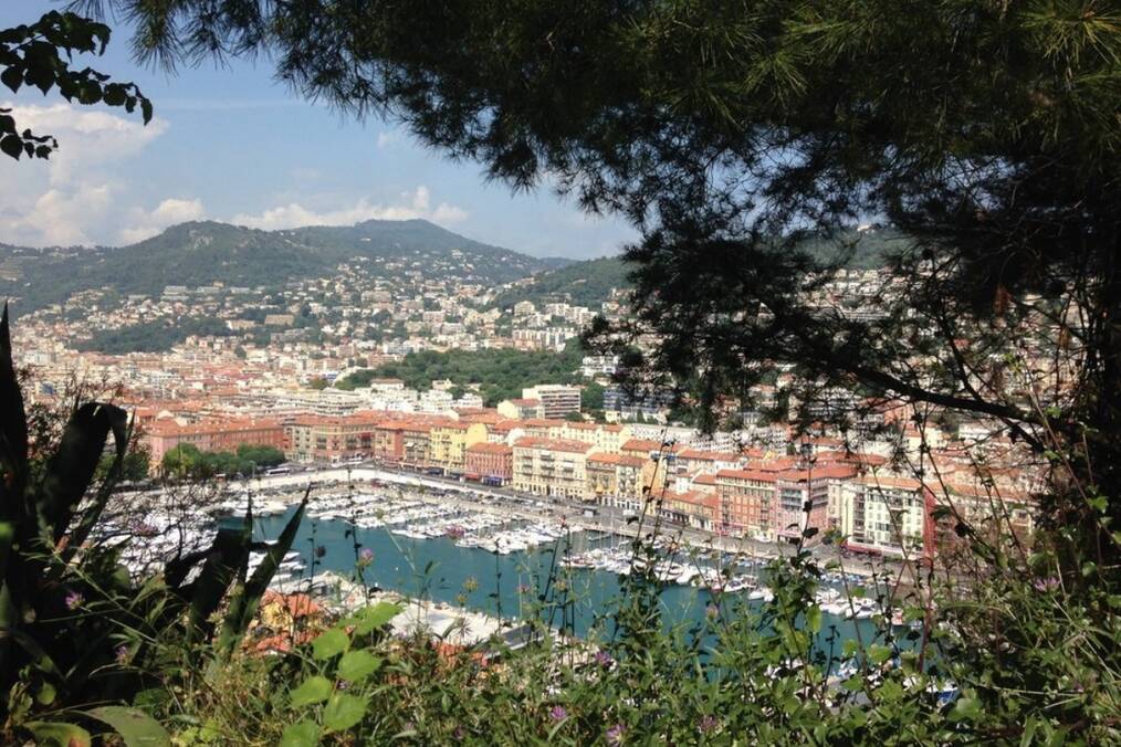 A view of the docks from behind the trees