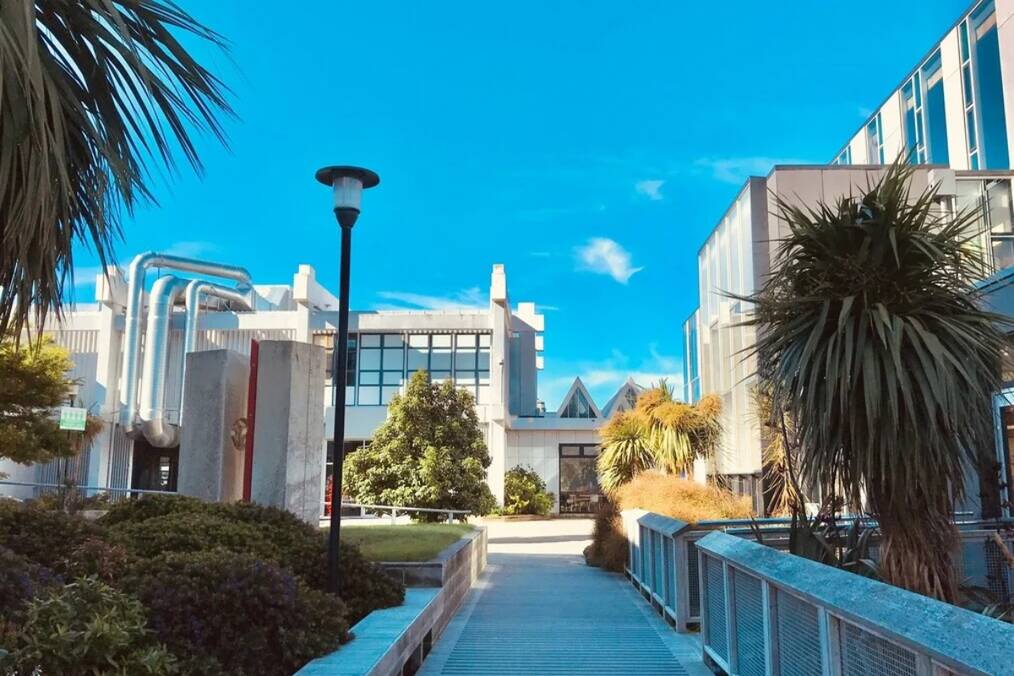 An empty campus on a sunny day