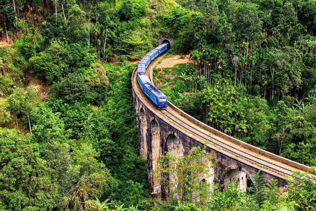 A train going through a jungle