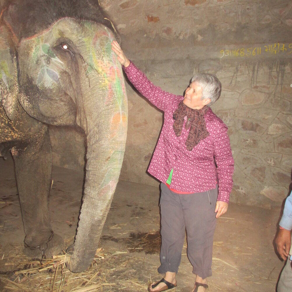 Volunteer Work With Elephants Go Overseas