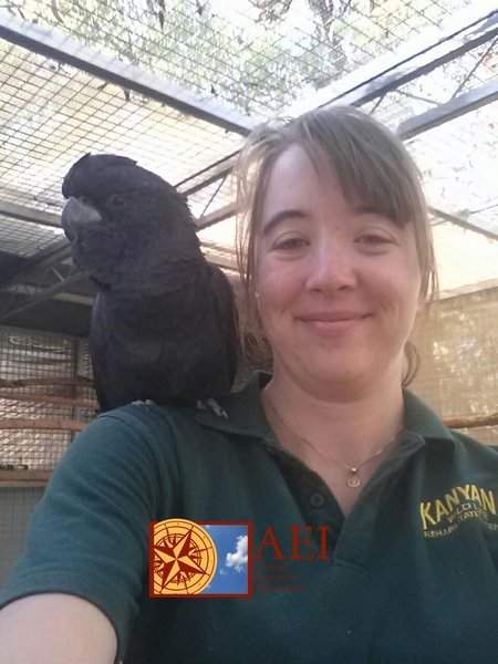 Wildlife Rehabilitation Volunteer Project in Australia | Go Overseas Wildlife Rehabilitation Volunteer Project in Australia | Go Overseas