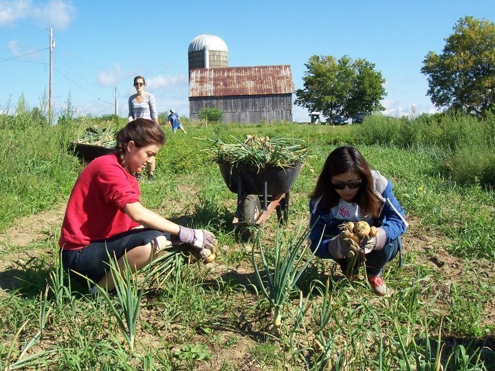 Short-term volunteer opportunities usa image