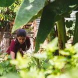 Agriculture Intern - Intern Abroad HQ