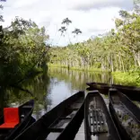 boats on the water