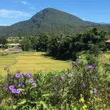 Muong Khong
