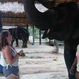 Wonderful experiences can be had in Thailand