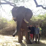 Students at Elephant Sanctuary with Bold Earth Adventures.
