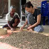 Sustainable Farming