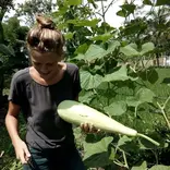 Volunteer at the permaculture garden