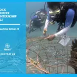 Coral transplantation on Artificial Biorock Reef Structure