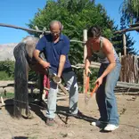 Conservation project
