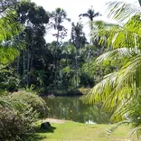 Lake next to the lodge where interns/ volunteers stay