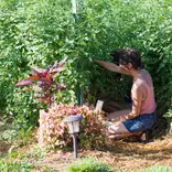 Girl in garden
