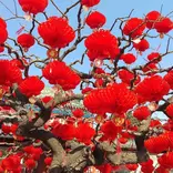 Study Chinese online with Culture Yard