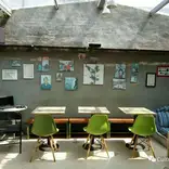 Study Chinese in Beijing or Online